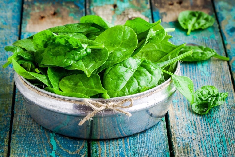 Leafy Greens, 20 Best Fat Burning Foods